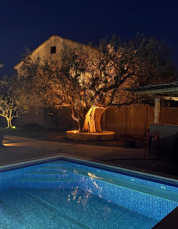 a swimming pool in a yard at night at Apartment olive tree garden&poll view 4 plus 2, 130 m2 with tiki bar in Peroj