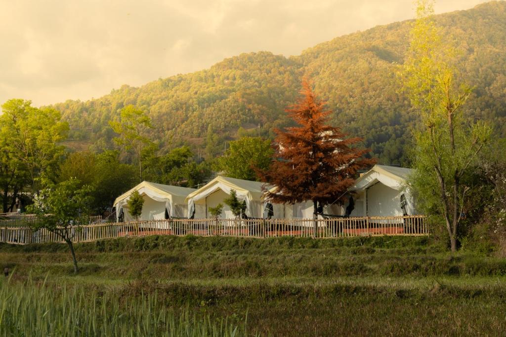 a row of white cottages in the mountains at Camp Kelang a Mountain View Camping Bonfire near Paragliding landing site in Bīr