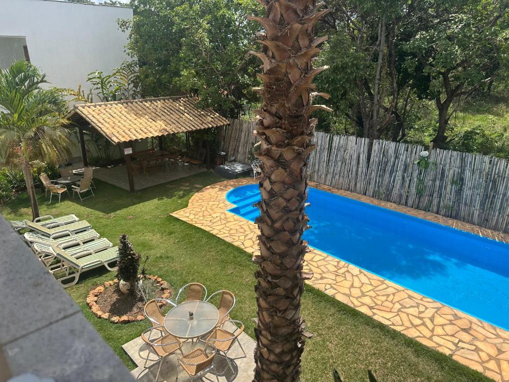 a palm tree in a yard next to a swimming pool at Pousada Brisas da Serra in Serra do Cipo
