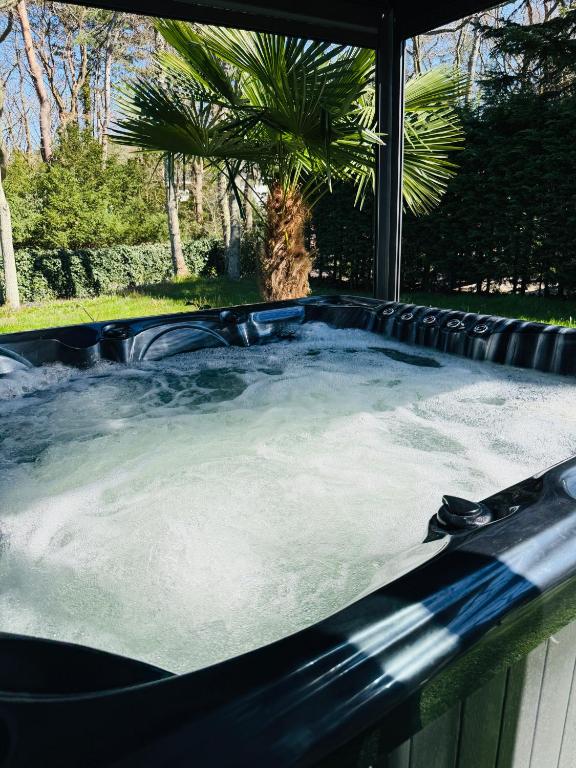 a jacuzzi tub with water in a backyard at Villa Vista in Wassenaar