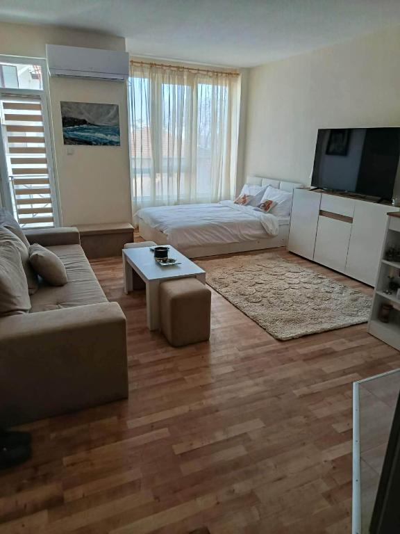 a living room with a couch and a bed and a tv at Дунав апарт Danube apart in Vidin