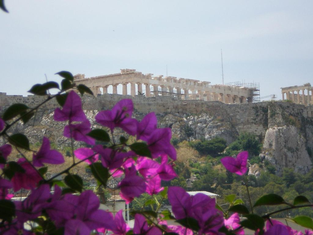 a large building with a bunch of flowers on top of it at Metropolis Hotel in Athens