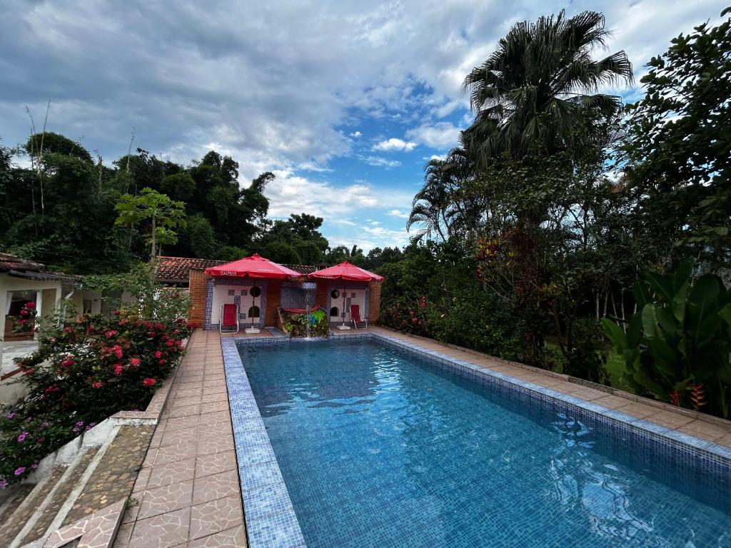 Chacara vida nova em Pedro de toledo