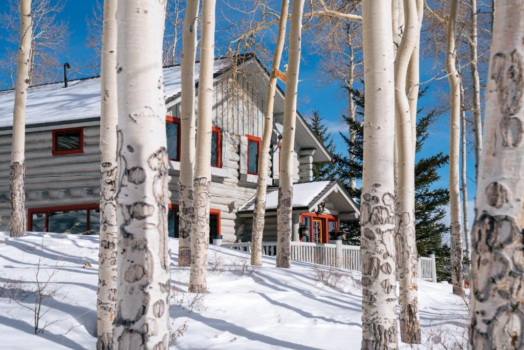a house in the snow next to a group of trees at Trappers Cabin in Beaver Creek