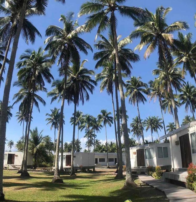 a group of palm trees in front of a building at Cote Resort in Dipaculao
