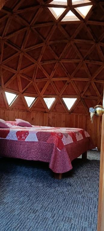 Domo cudico espacio natural