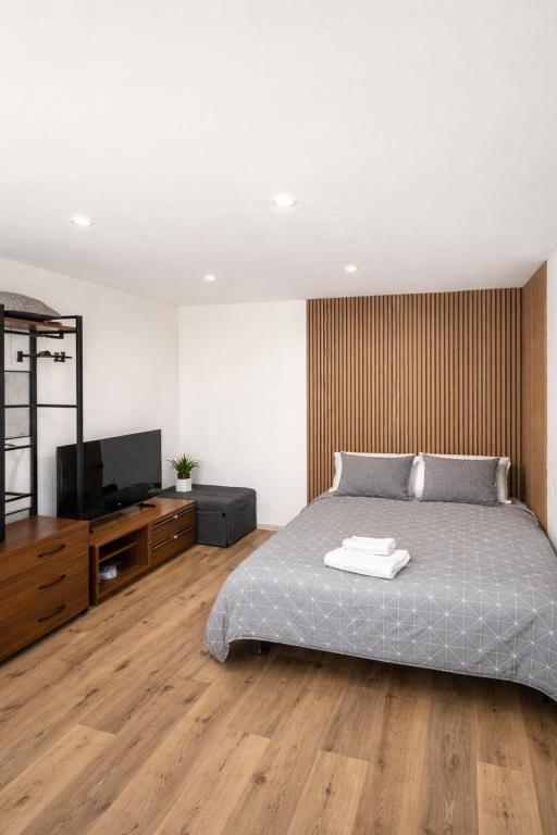 a bedroom with a bed and a flat screen tv at Balvi Ezera Street in Balvi
