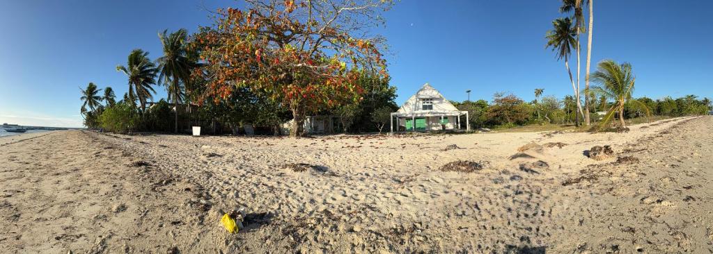 a house sitting on a sandy beach next to the ocean at Bantayan Beachfront Seacamp Okoy Private House Operated by In Dai Aquasports and Beach Resort in Bantayan Island