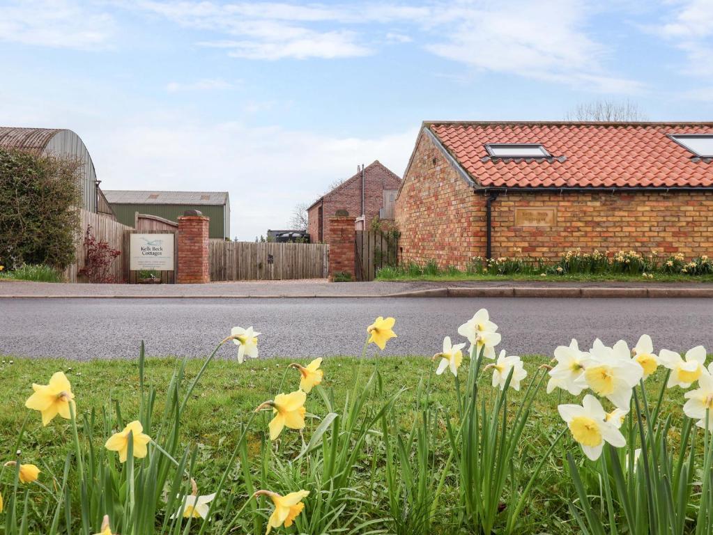 a field of daffodils on the side of a road at The Stables in Great Driffield