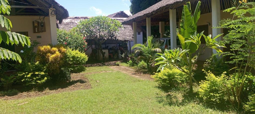 a garden in front of a house with plants at Bungalow Frédéric in Hell-Ville