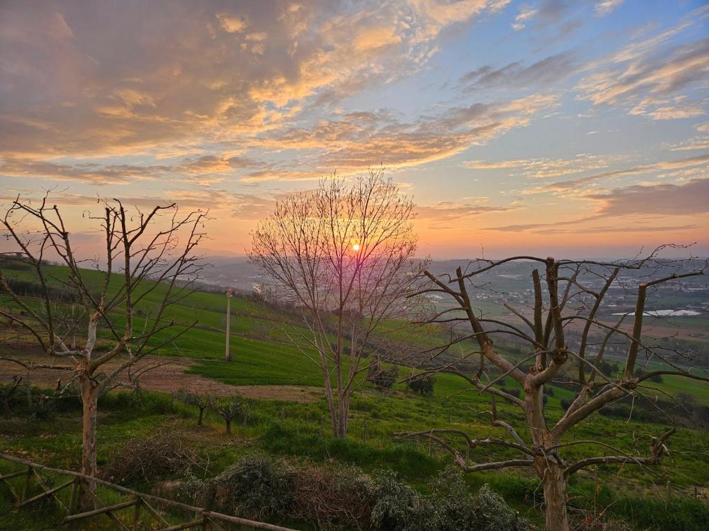 a sunset over a field with trees in a field at Casa degli Angeli in Fermo