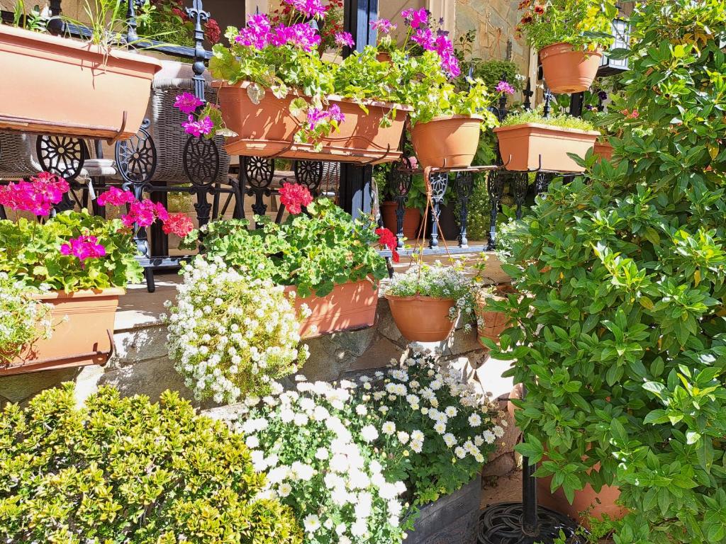 a bunch of flowers in pots in a garden at Kyperounta Troodos Mountain House! in Kyperounda