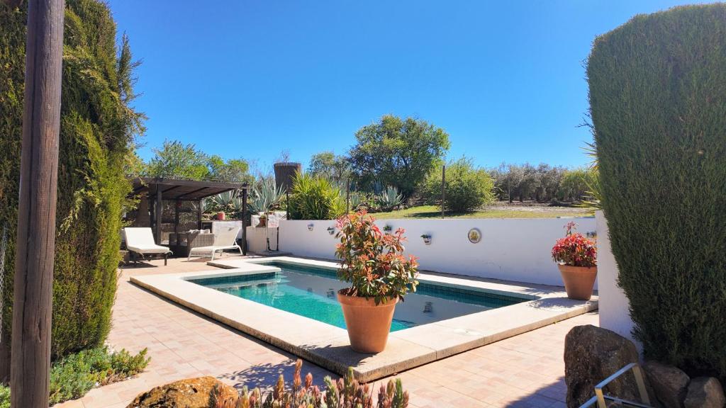 a swimming pool in a yard with potted plants at Casa La Alegria 37 in Málaga