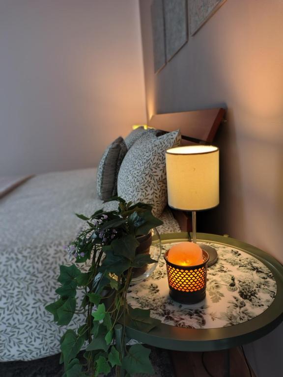 a bed with a table with a lamp and a plant at CASA MONTEFINESE in Casamassima