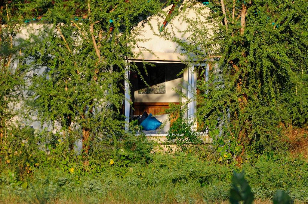 Zahrada ubytování Trees N Tigers Luxury Wildlife Lodge