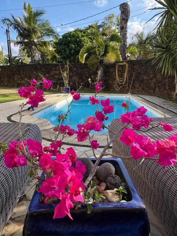 a vase with pink flowers on a table next to a swimming pool at Studio tout confort avec piscine pour les amoureux des toutous in Roches Noires