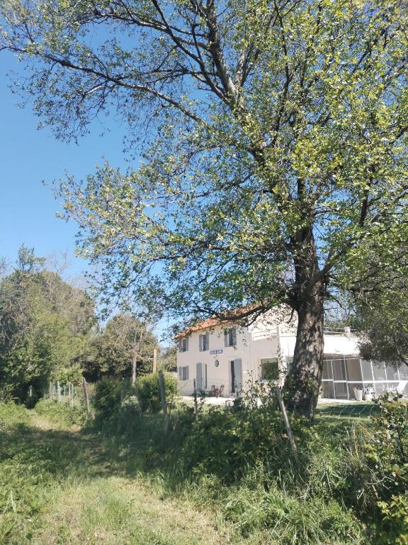 a tree in front of a white house at Ancienne Gare Camargue in Arles