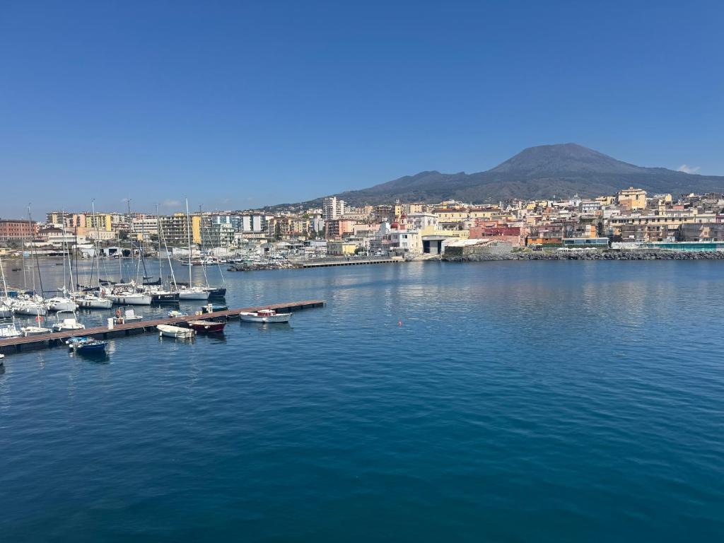 a view of a harbor with boats in the water at L'Atrio Suite in Torre del Greco