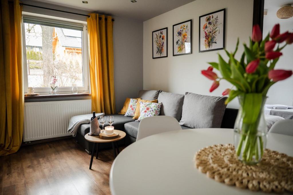 Apartament nad Bukówką - Housity