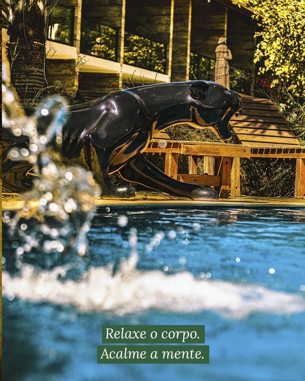 a black dog sitting on a bench next to a swimming pool at Unalome Pousada in Serra Negra