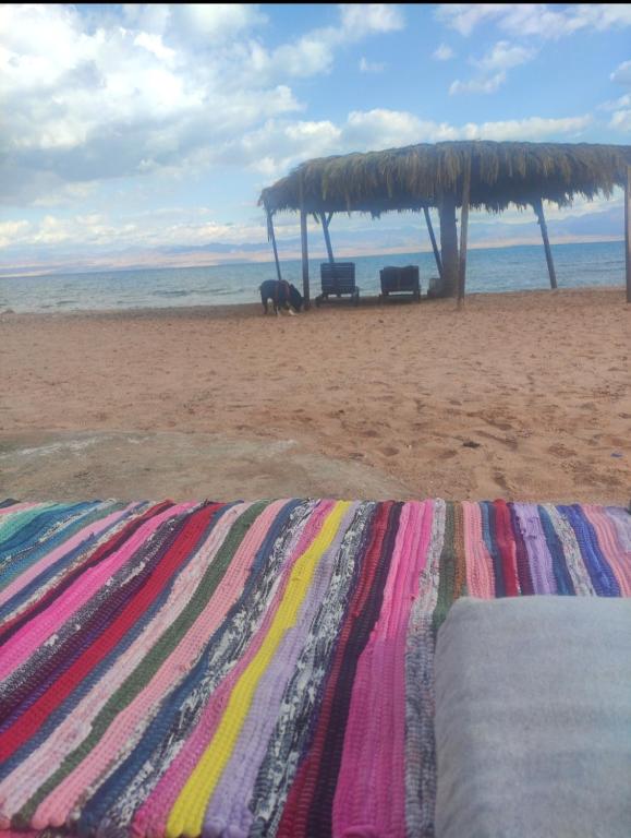 a beach with two chairs and a straw umbrella at Anne in Nuweiba