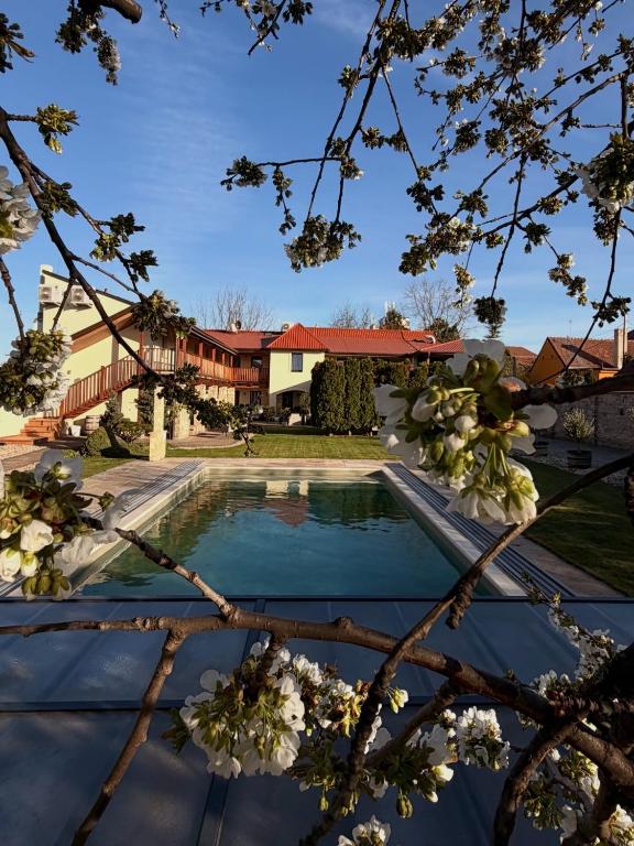 a swimming pool in a yard with buildings in the background at Hotel Garni Klaret in Valtice