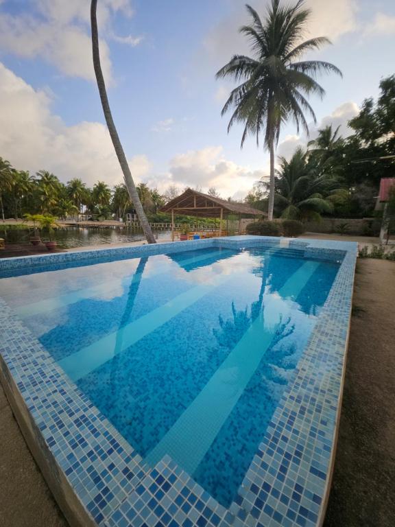 a swimming pool with a palm tree in the background at L'île de Marie-Jo in Assinie