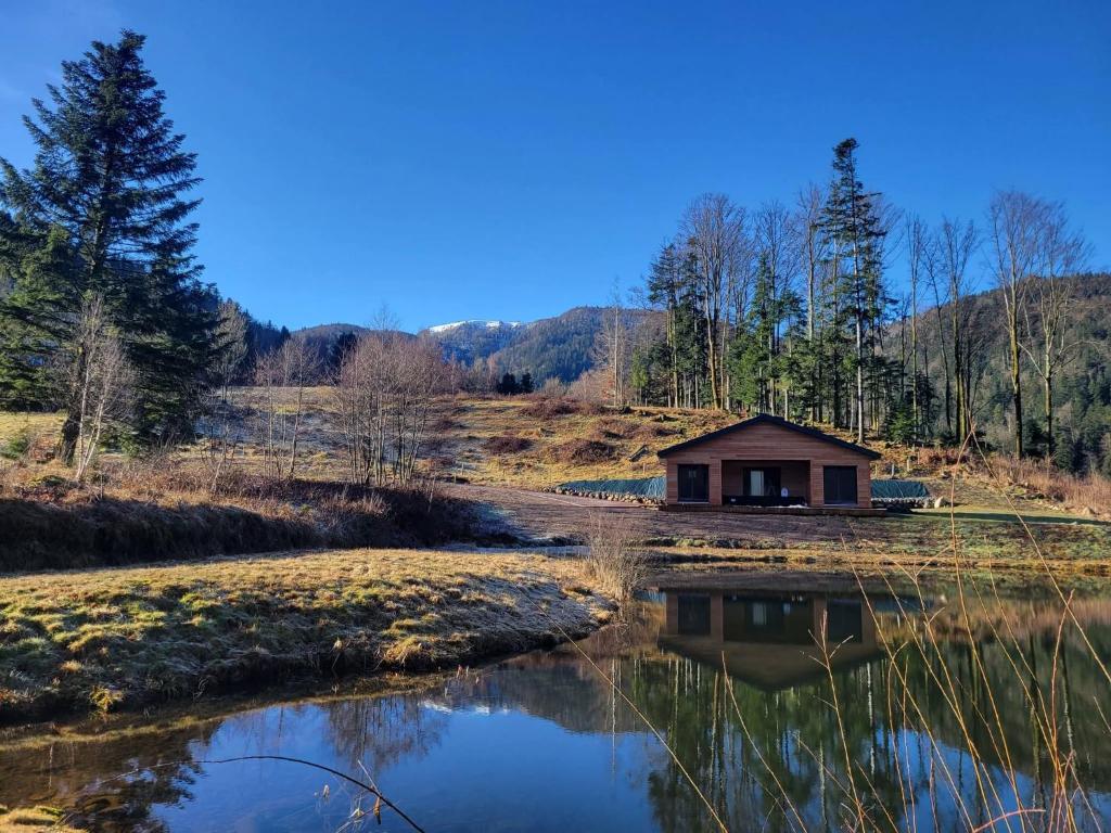 a small cabin next to a pond in a field at Chalet des Briseux in Saint-Maurice-sur-Moselle