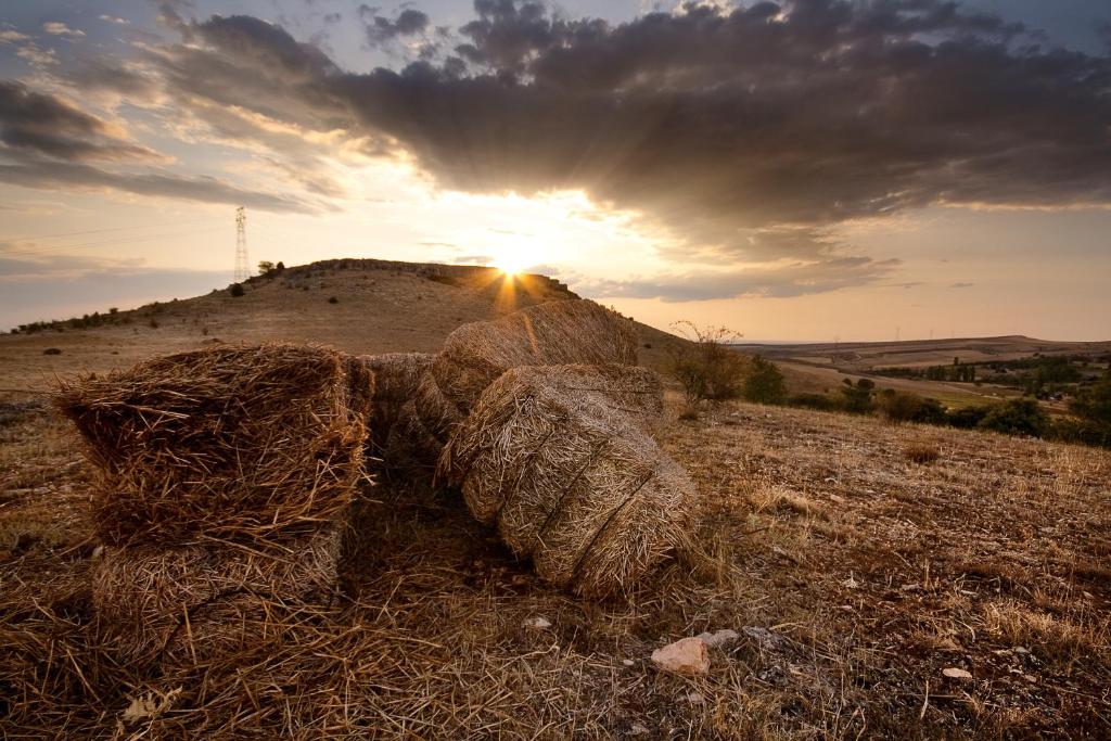 Fotografia z galérie ubytovania El Encuentro Del Duratón v destinácii Castro de Fuentidueña