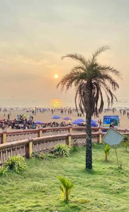a palm tree in the grass near a beach at Hotel Beach Avenue in Calangute