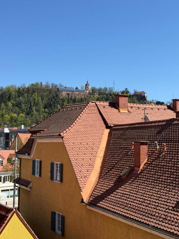 Graz City Penthouse