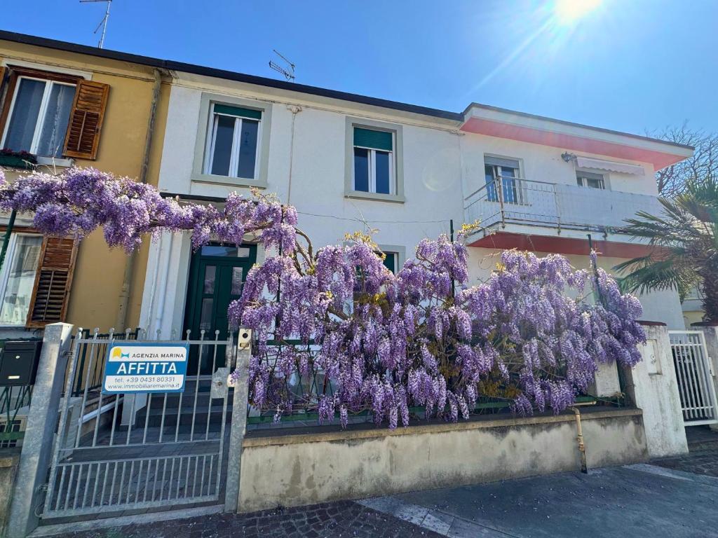 a bunch of purple flowers hanging over a fence at Casa Genny in Grado