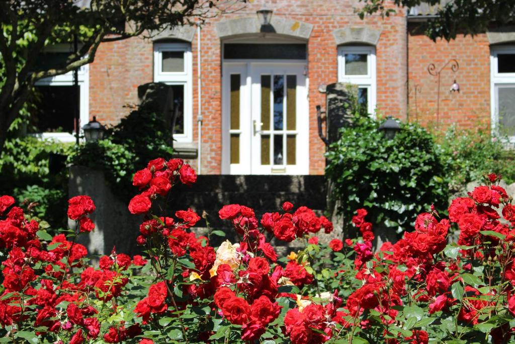 a bunch of red flowers in front of a house at Ferienhof Harrsen in Pellworm