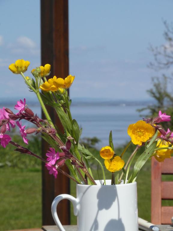 a white coffee cup filled with yellow and pink flowers at Lapwing Lodge in Dumfries