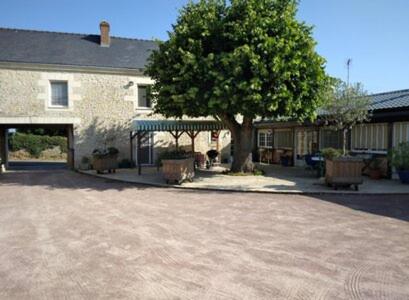 a house with a tree in front of it at L'amandier in Thouars