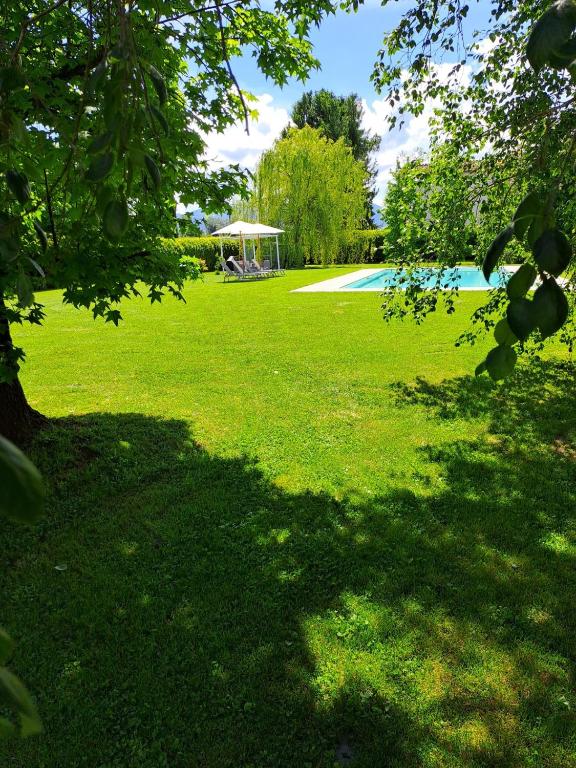 a green park with a tree and a swimming pool at Il Nido in Lucca