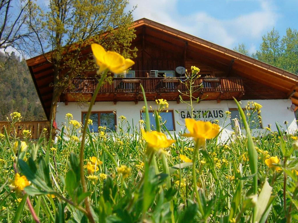 a house with a balcony with yellow flowers in the foreground at Gasthaus Gasteiger in Lagundo