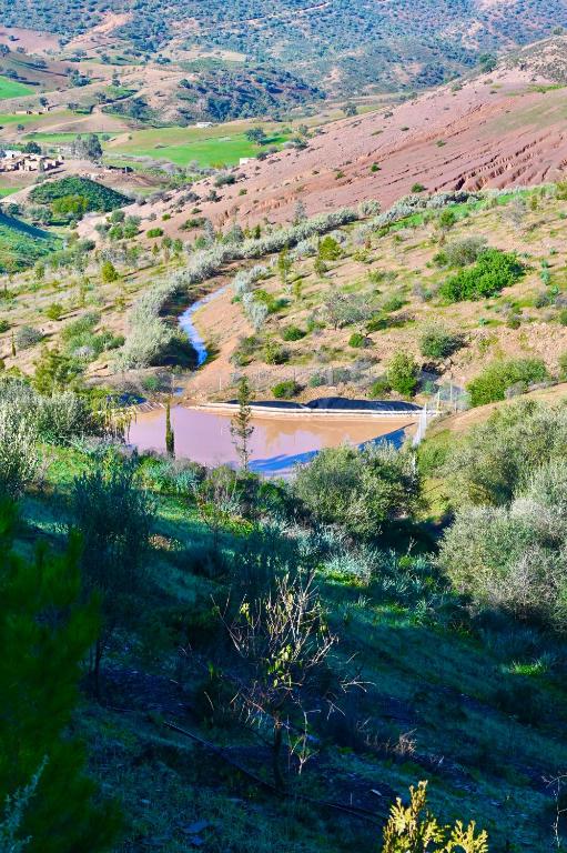 a view of a river in a field with trees at Guest farm Oulad Chmicha in Bir el Kelb