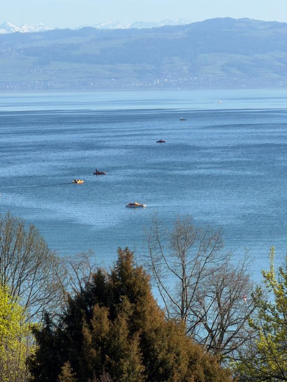 a group of boats in a large body of water at Penthouse Seeblick Wohnung 86 qm KLIMATISIERT in Friedrichshafen