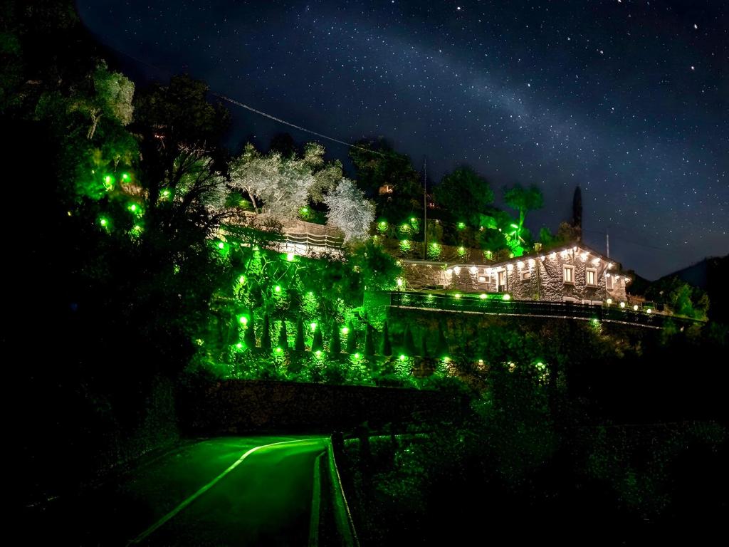 a lit up building with green lights at night at DaVilla Sanremo - Entire Villa, Sea View & Pool in Pampara