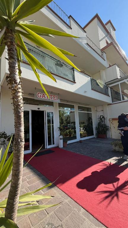 a palm tree in front of a building with a red carpet at Hotel Gattei in Rimini