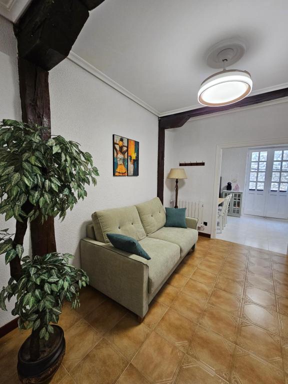 a living room with a couch and a potted plant at Casa Gelín Verde in Santillana del Mar