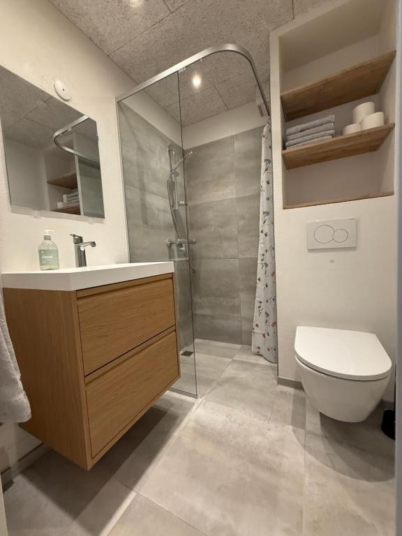 a bathroom with a shower and a toilet and a sink at Completely renovated apartment, 6 sleeps in Herning