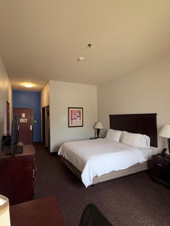 Country Inn & Suites by Radisson, Terrell - King Room - Non Smoking