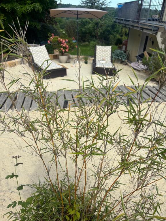 two chairs and an umbrella on a sandy beach at Ferienwohnung Sorpesee in Sundern