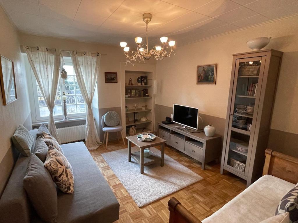 a living room with a couch and a tv at Clos Belin in Chavornay