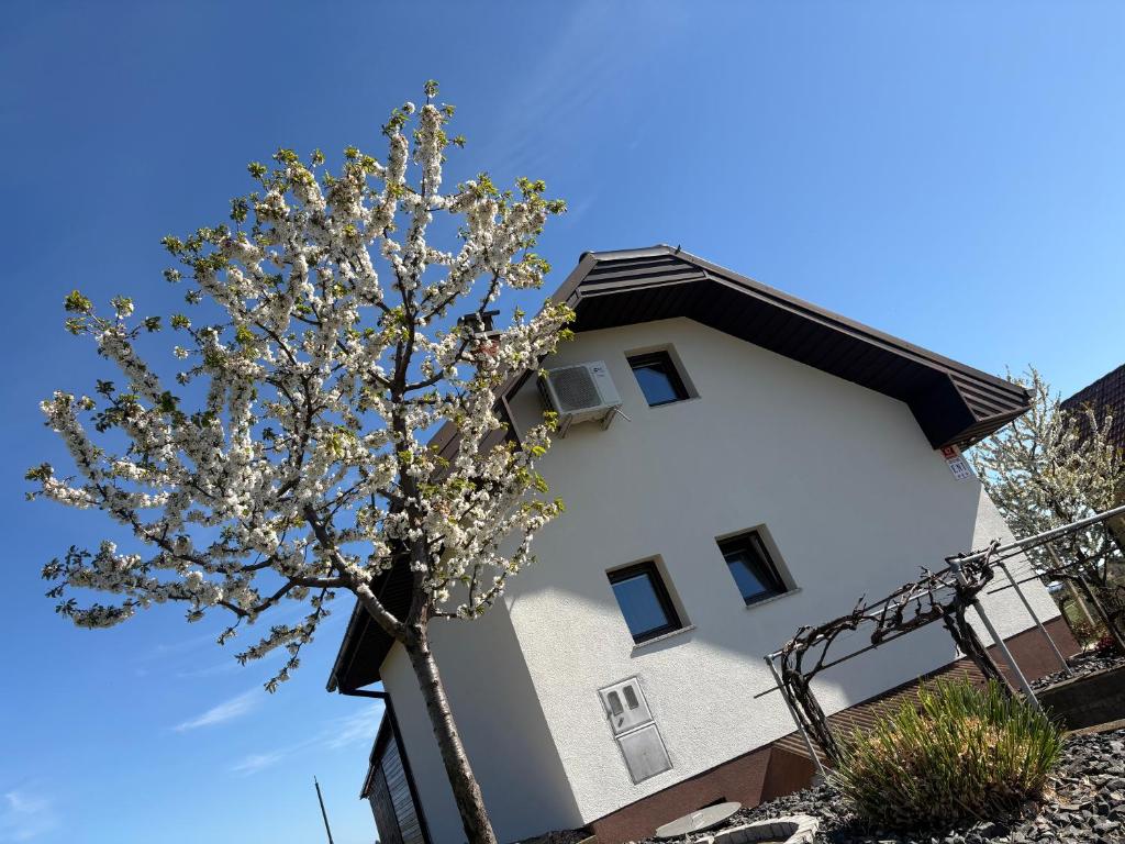 a white building with a tree in front of it at APARTMA ENI in Moravske-Toplice