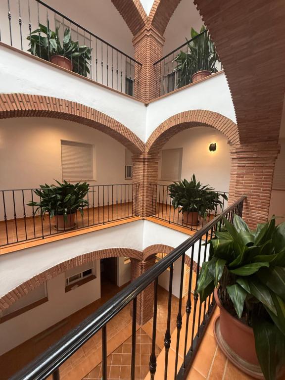 an indoor staircase in a building with potted plants at Alfarnate Antiguo Cuartel in Alfarnate