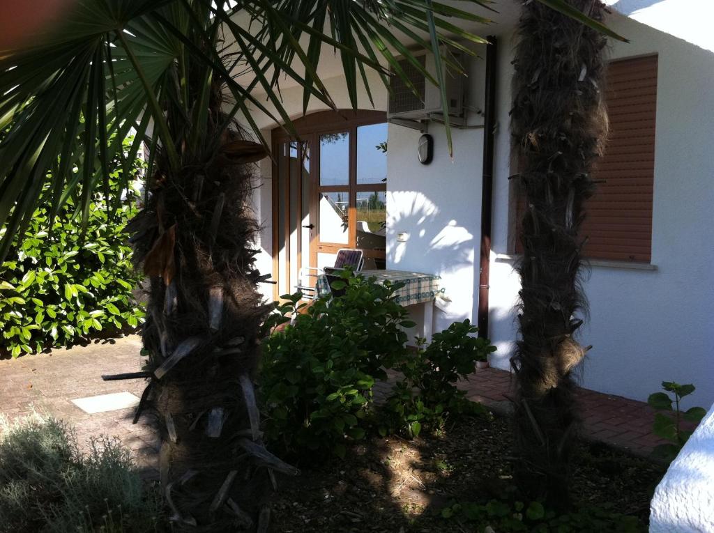 two palm trees in front of a house at Hotel Berna in Eraclea Mare
