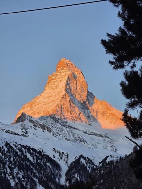 Studio Chalet with terrace & Matterhorn view